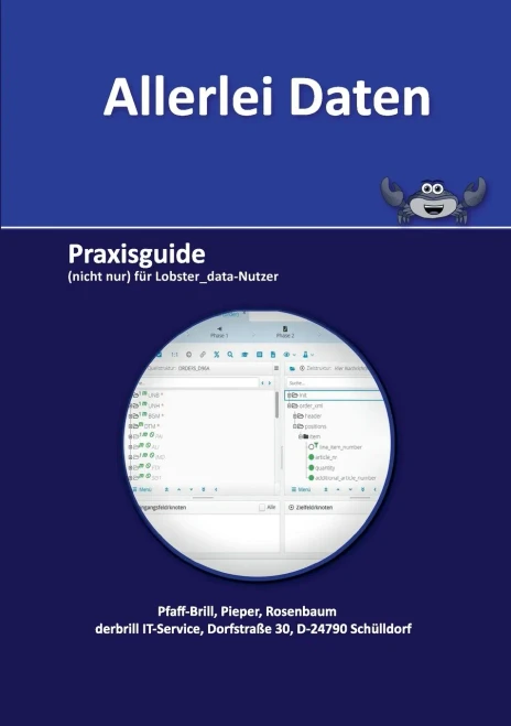 Allerlei Daten: Praxisguide (nicht nur) für Lobster_data-Nutzer (German Edition)