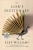 The Liar's Dictionary: A Novel (Random House Large Print)