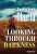 Looking Through Darkness: A Trading Post Novel (A Trading Post Novel, 2)