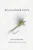 Blue Winged Olive