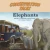 Conservation Tales: Elephants