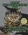 Colby The Courageous Cat