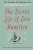 The Secret Life of Evie Hamilton
