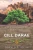 Cill Darae (A New Druids Series)