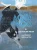 Aqua Dog (1)
