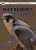 Thunderbolt The Falcon