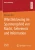 Whistleblowing im Spannungsfeld von Macht, Geheimnis und Information (DuD-Fachbeiträge) (German Edition)