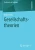 Gesellschaftstheorien (Studientexte zur Soziologie) (German Edition)