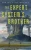 The Expert System's Brother (The Expert System's Brother, 1)