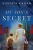 My Son's Secret