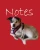 Notes Volume 4