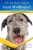 Irish Wolfhound (Divine Dogs Online)