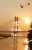 The Kolkata Cadence: Contemporary Kolkata Poets