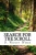 Search For The Scroll (Grampajohn Trilogy) (Volume 2)