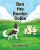 Ben the Border Collie