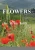 FLOWERS - Paperback