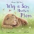 Why a Son Needs a Mom
