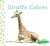 Giraffe Calves (Baby Animals)