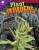 Plant Invaders (Smithsonian Readers)