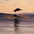 Pelican Peace