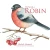 We Saved A Robin