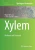Xylem: Methods And Protocols (Methods In Molecular Biology, 1544)