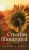 Creation Illuminated