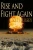 Rise and Fight Again