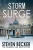 Storm Surge: A Fast Paced International Adventure Thriller (Storm Thriller Series)