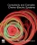 Complexity and Complex Chemo-Electric Systems