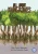 All About Mangroves