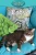 Cats (71) (Elementary Explorers)