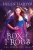 Box of Frogs (The Fractured Faery)