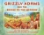 Grizzly Adams and The Bridge To The Meadow