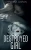 Destroyed Girl (German Edition)