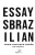 Essays Brazilian