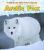 Arctic Fox (A Day in the Life: Polar Animals)