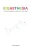 Ideasthesia: Artificial Intelligence Inside the Human Brain (Extreme Synesthesia)