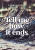 Tell Me How It Ends (Hardcover)