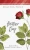 Another Day (Hardcover)
