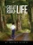 The Great Road Of Life