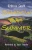 Shadow Cat Summer