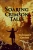 Soaring Crimson Tales