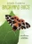 A Kid'S Guide To Backyard Bugs