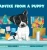 Advice From A Puppy