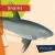 Sharks (Living Wild)