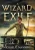 Wizard In Exile (Wrath Of The Stormking)
