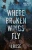 Where Broken Wings Fly: A Small Town Reverse Harem Romance (Briar Valley)