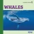 Whales