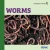 Worms